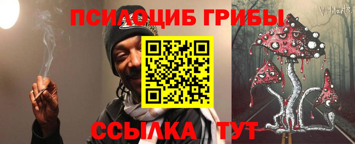 Сосновоборск  Псилоцибиновые грибы ЛСД  Вход с VPN 